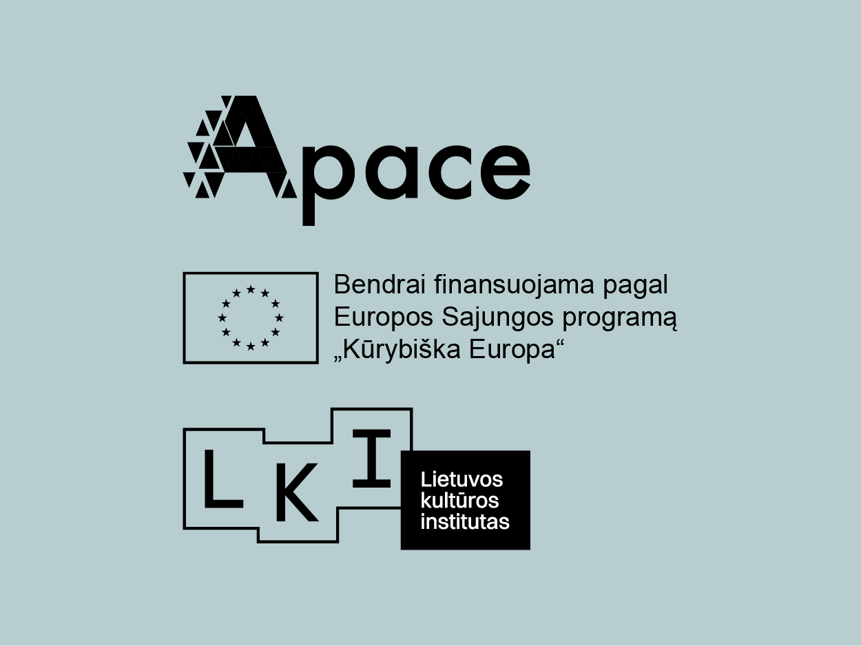 Accelerating Publishing Accessibility through Collaboration in Europe (APACE), 2024–2025